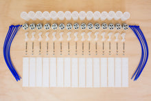 Load image into Gallery viewer, SeaPerch Class Pack